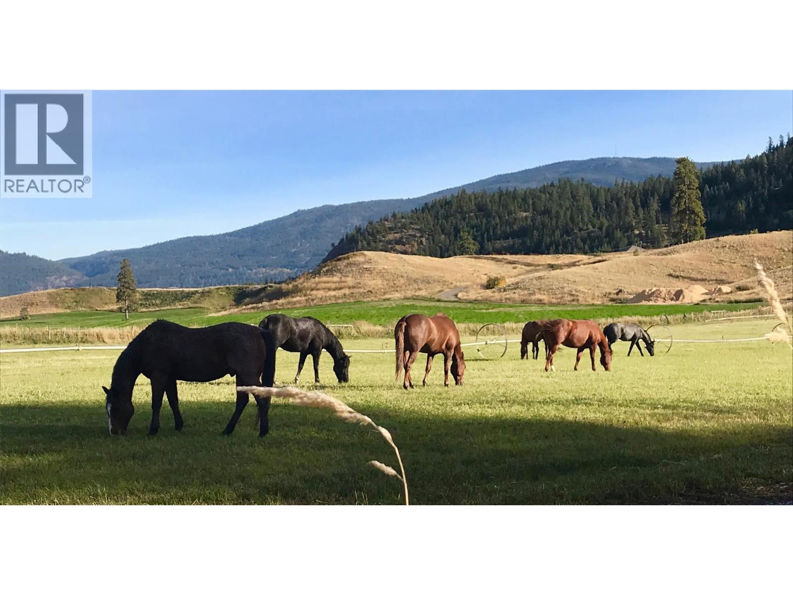  281 Lindley Creek Road, Merritt