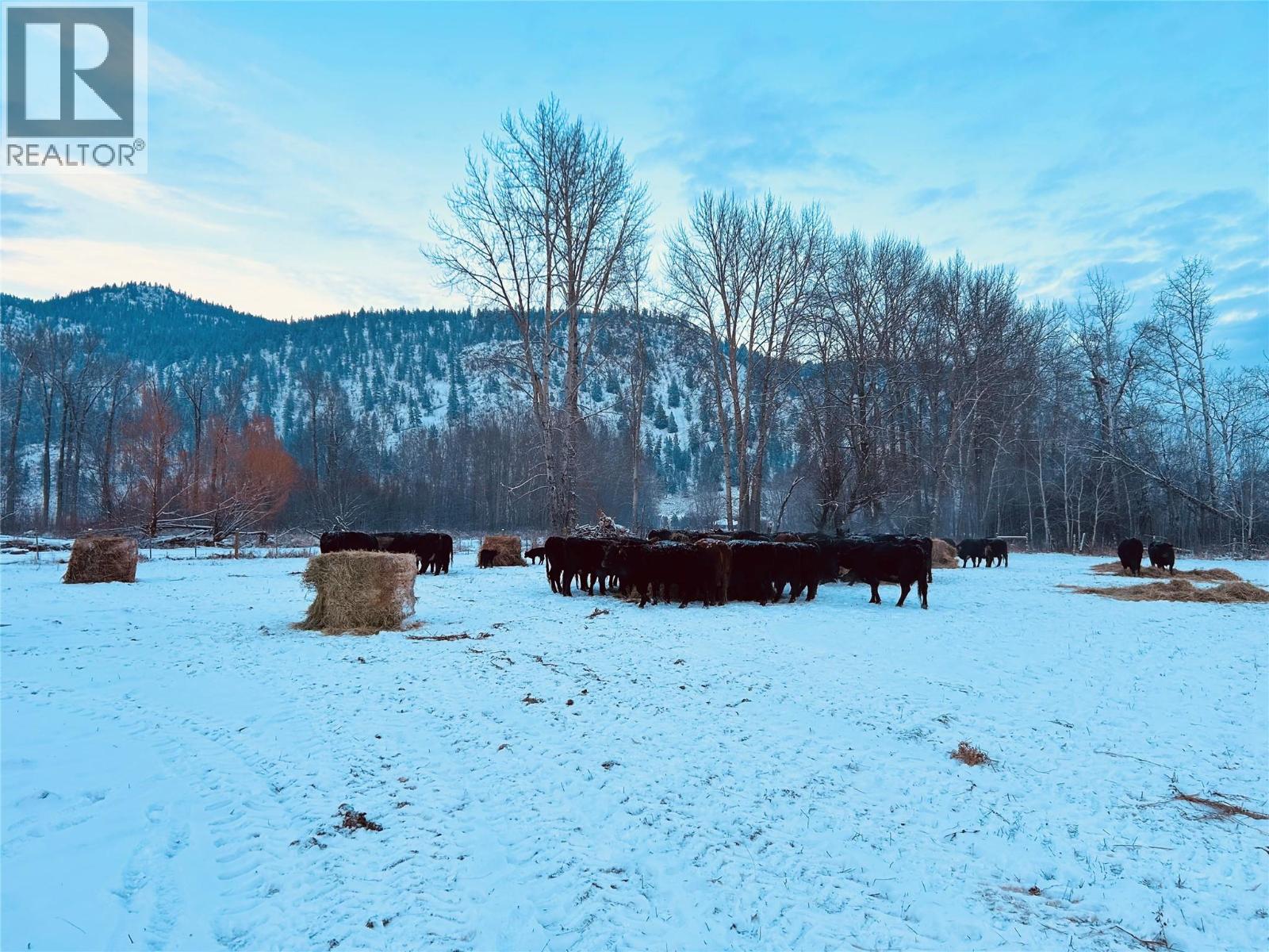  281 Lindley Creek Road, Merritt