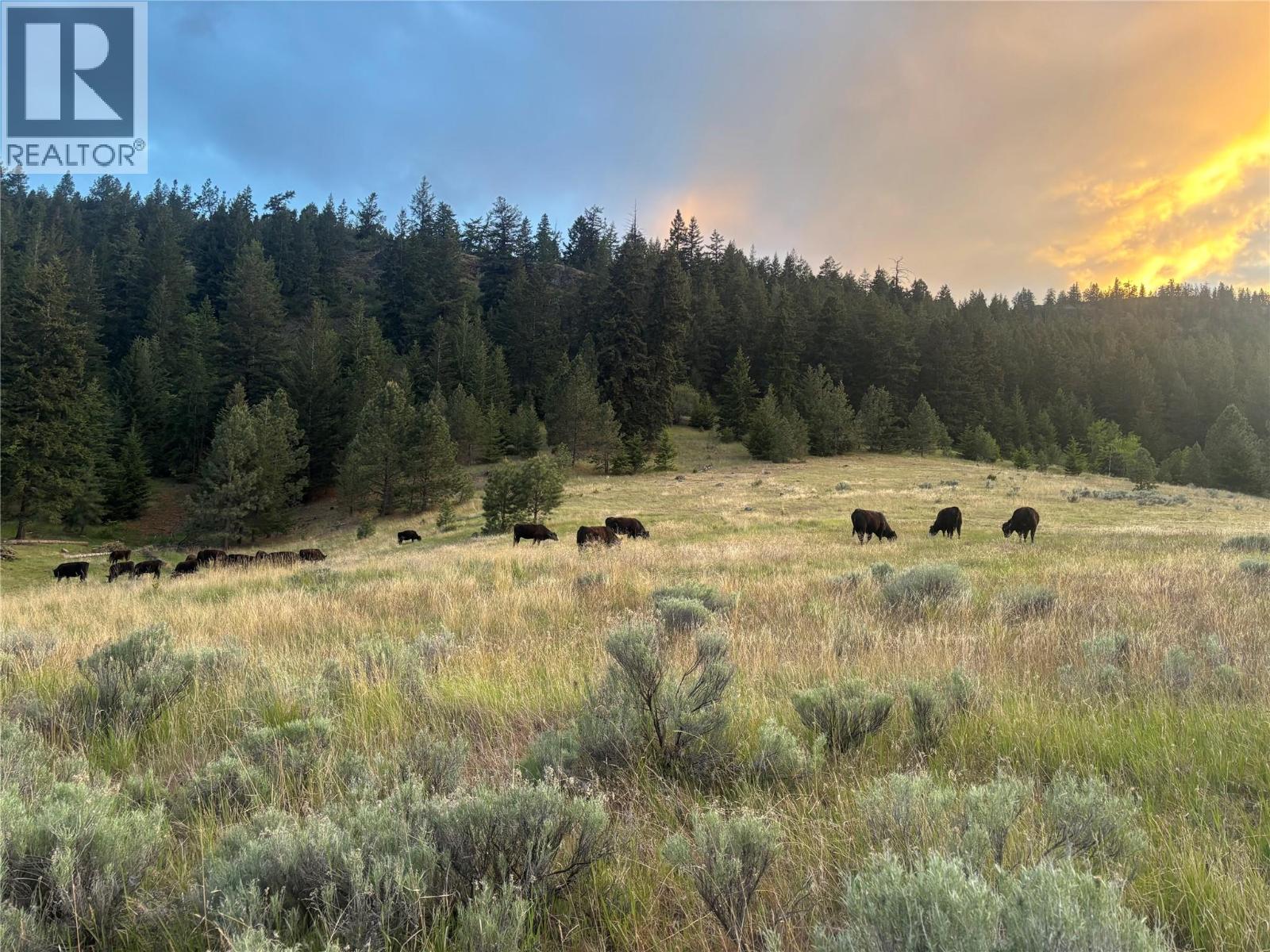  281 Lindley Creek Road, Merritt