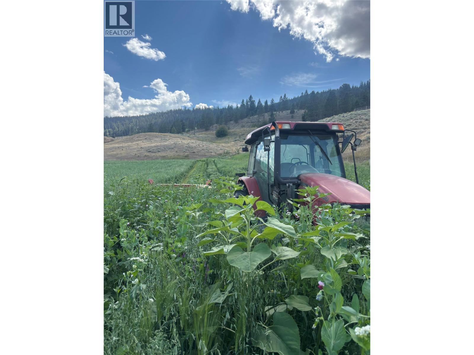  281 Lindley Creek Road, Merritt