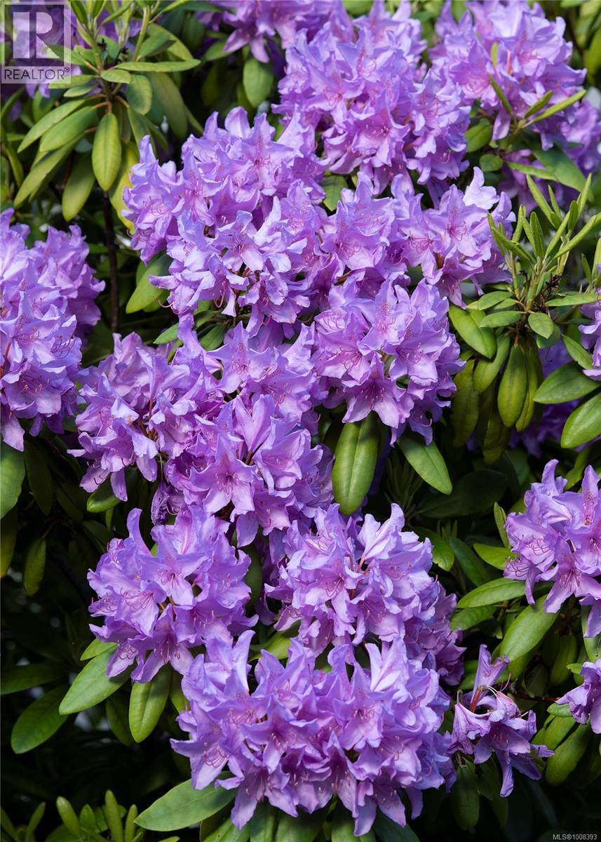 907 Savary Dr, Qualicum Beach