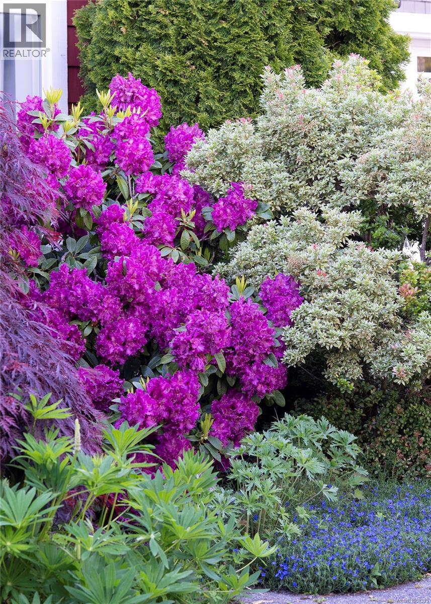 907 Savary Dr, Qualicum Beach