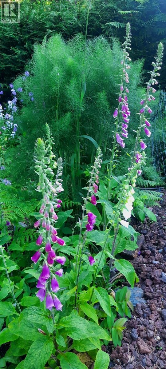 2876 Sherman Rd, Duncan