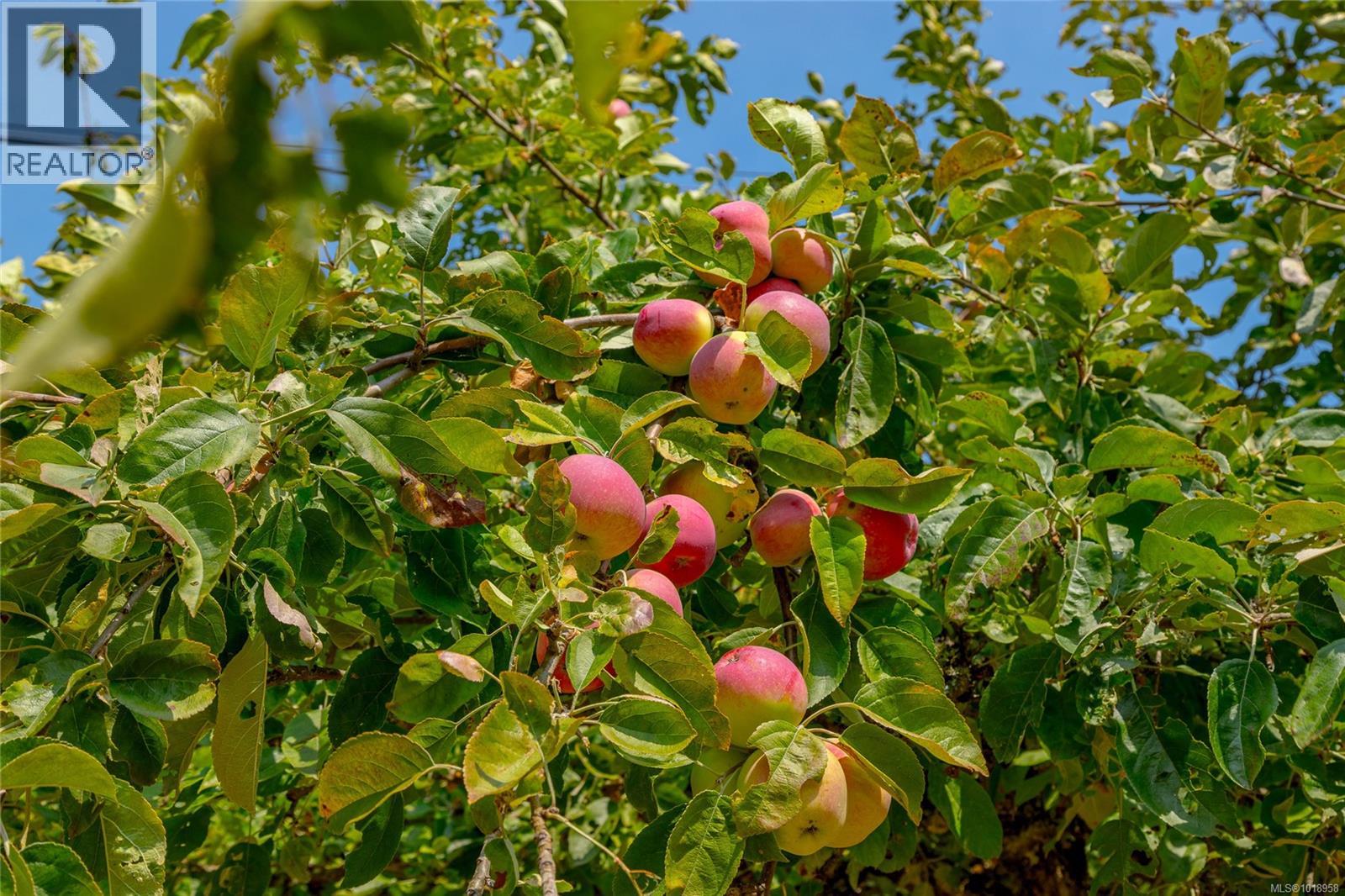 11255 Nitinat Rd, North Saanich