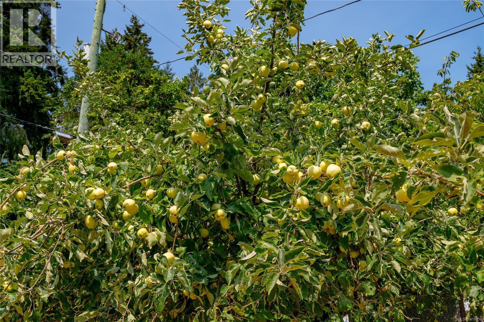 11255 Nitinat Rd, North Saanich