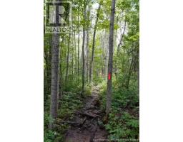 5716 Rte 495, Saint Fabien, NB E4S2T2 Photo 11