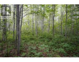 5716 Rte 495, Saint Fabien, NB E4S2T2 Photo 6