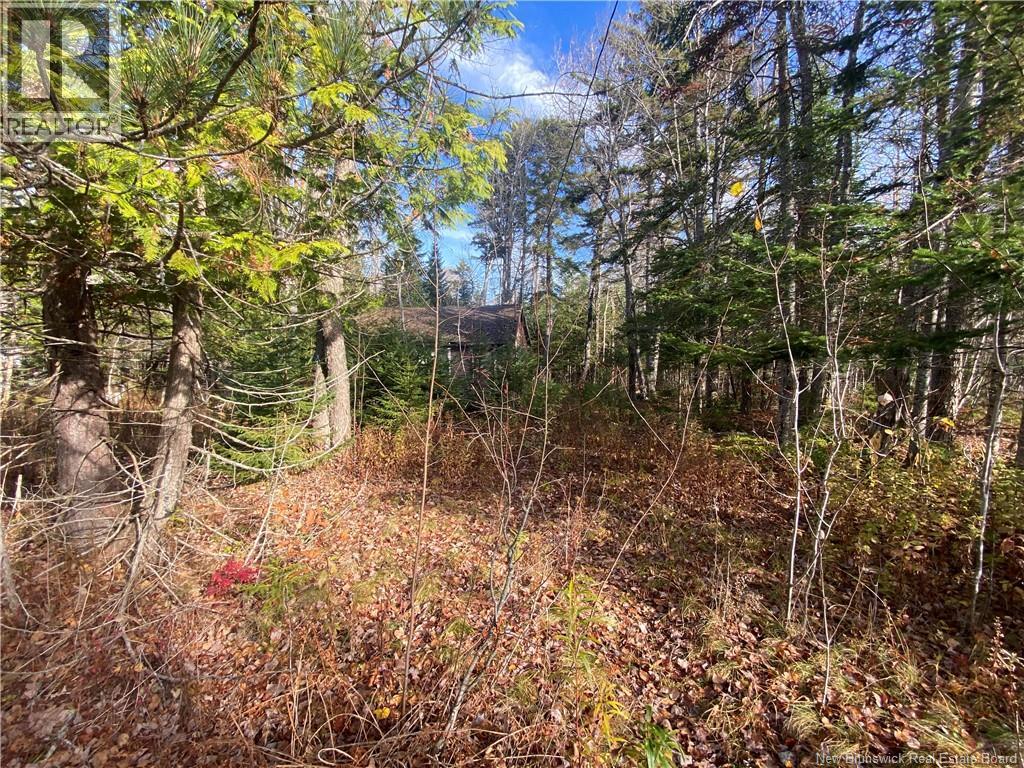 7 ANNIE LANE - Image 11