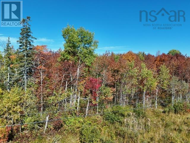 Property 8 of 8 of Lot 1A-1 Big Baddeck Road