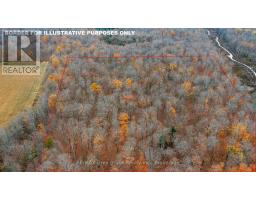 0 Story Book Park Acres E, Meaford, ON N4K5N6 Photo 6