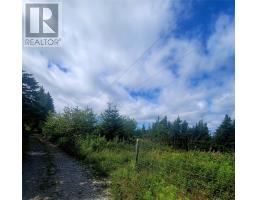 38 Cathill Road thumbnail 2