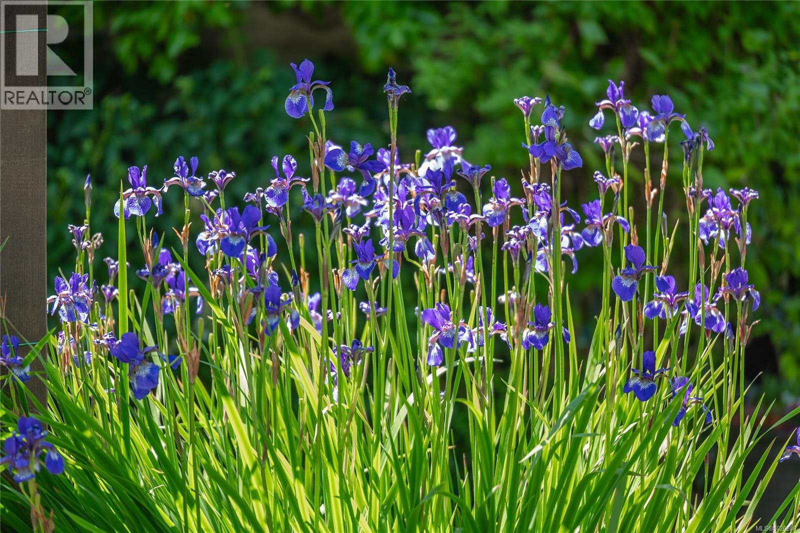 1664 Queequeg Trnabt, Gabriola Island