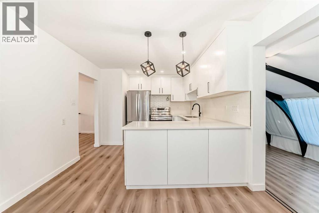 Single Family House Bi-level for Sale in  Fairmount Drive SE Acadia Calgary 