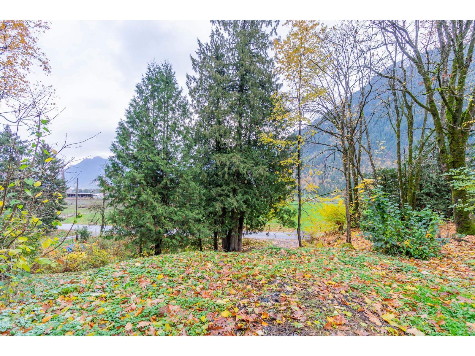 10821 N POPKUM ROAD, Popkum — photo 36