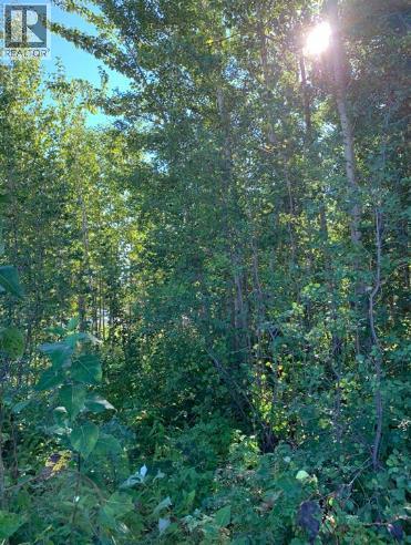 9815 99 Ave, Lac La Biche