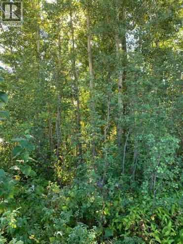 9815 99 Ave, Lac La Biche