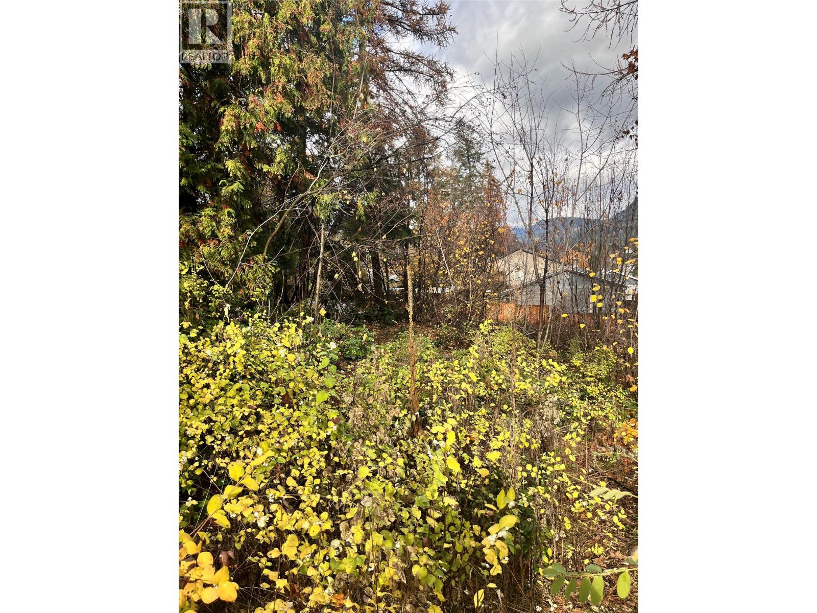  LOT B 9th Avenue, Castlegar