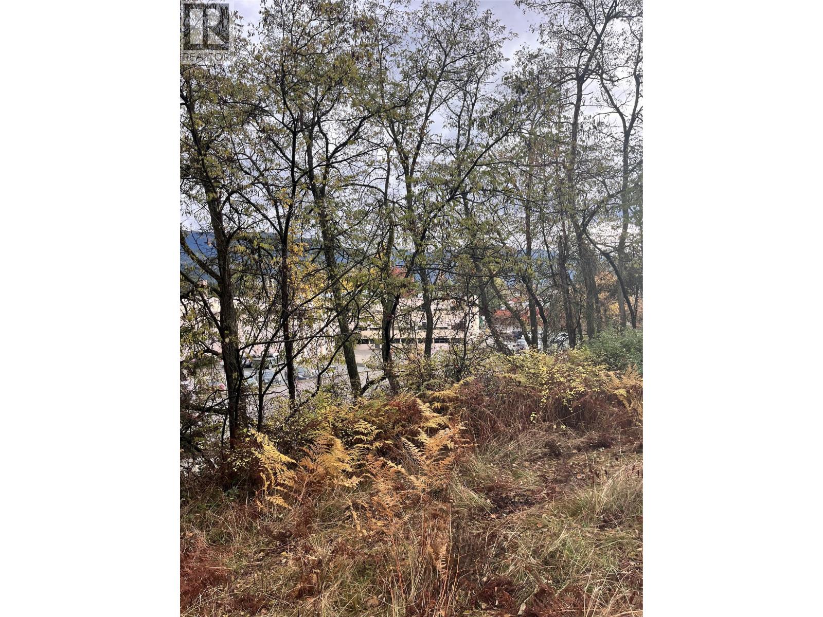  LOT B 9th Avenue, Castlegar