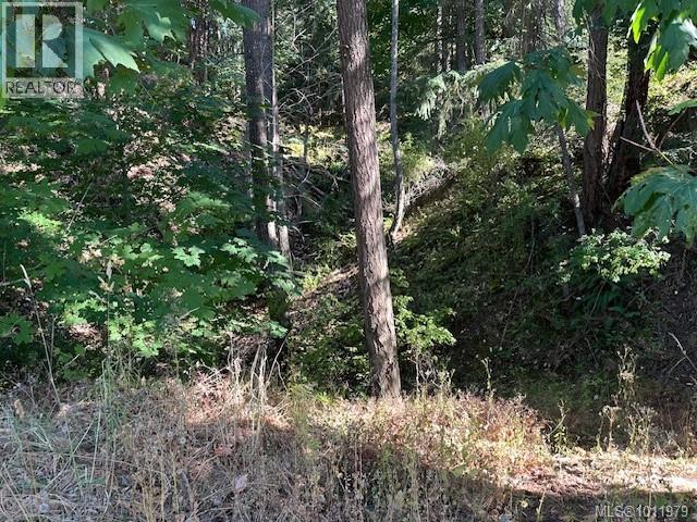 1376 Algonkin Rd - 45