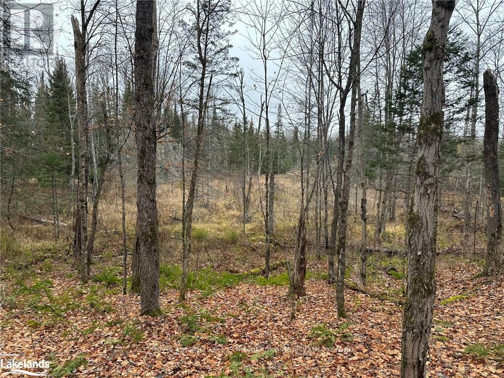 LOT 2 HILL AND GULLY ROAD - Photo 5 of 13, Ryerson, Ontario