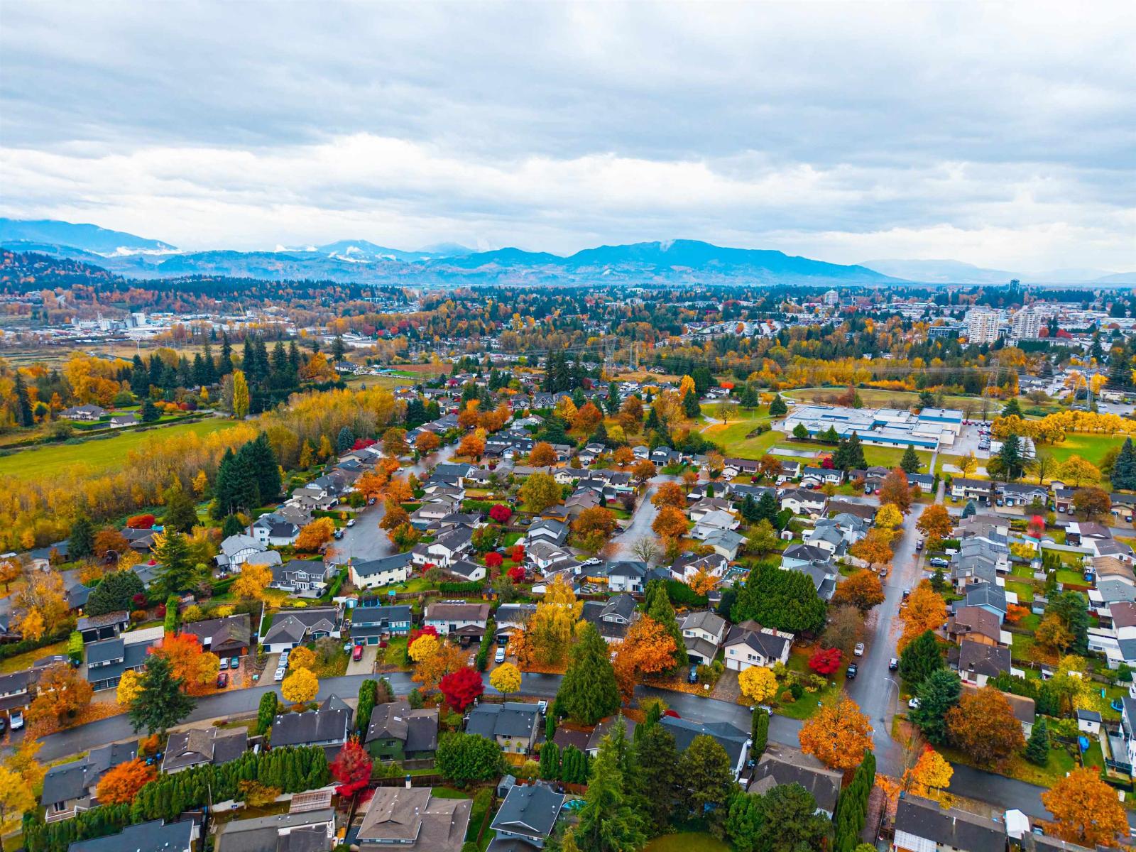 3782 LINDSAY STREET, Abbotsford