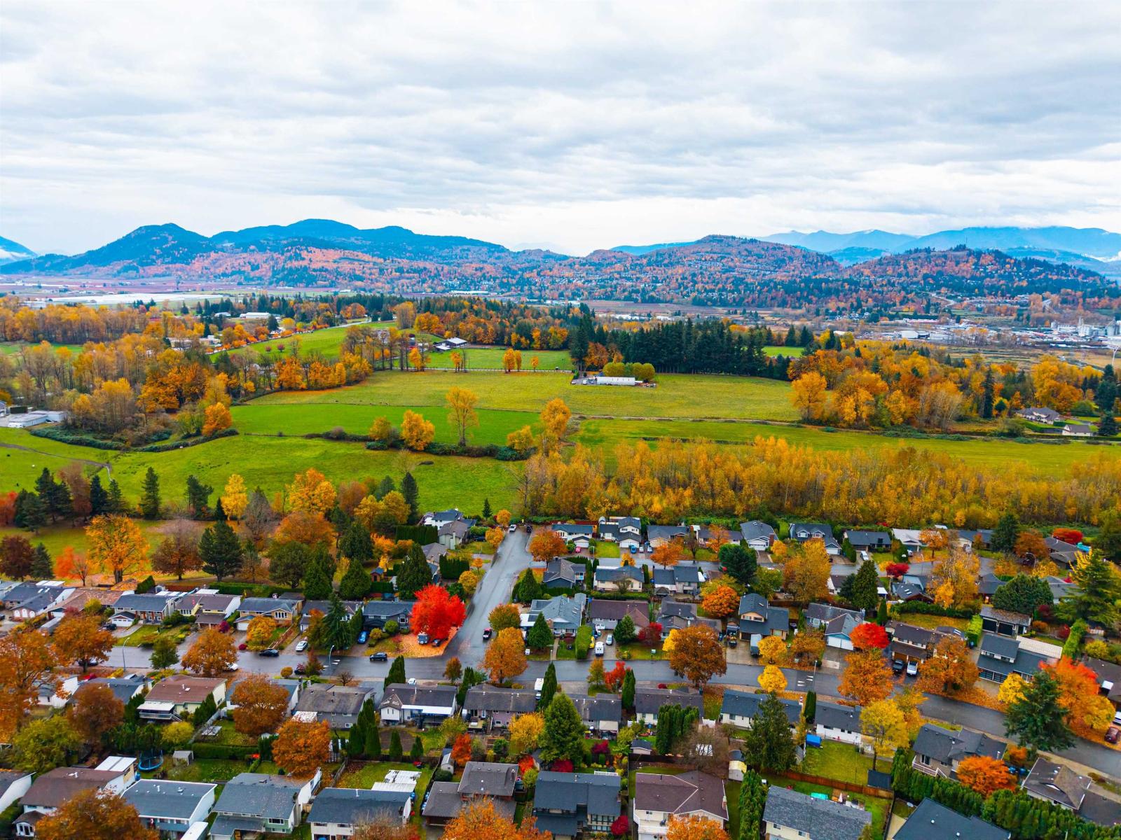 3782 LINDSAY STREET, Abbotsford