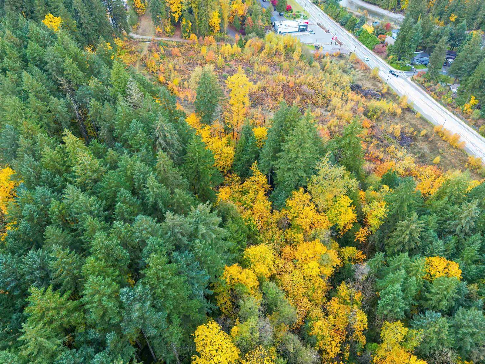 Vacant Land in Hope - Image 14