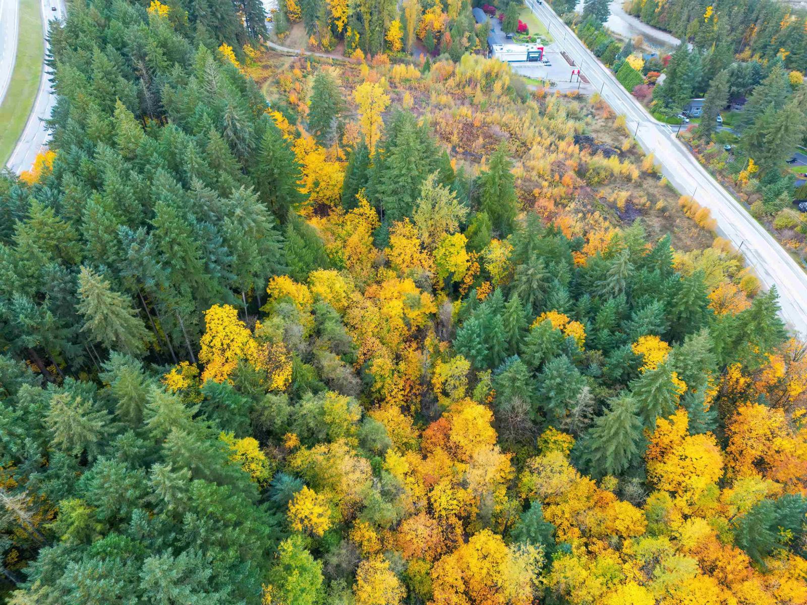 Vacant Land in Hope - Image 15