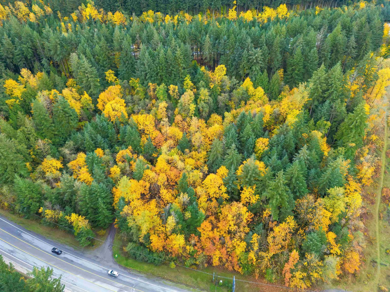 Vacant Land in Hope - Image 20