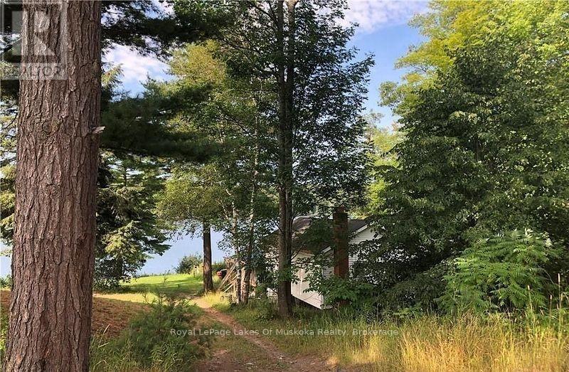 4019 MUSKOKA 169 ROAD, Muskoka Lakes (Medora), Ontario, P0C1A0 — Photo 35