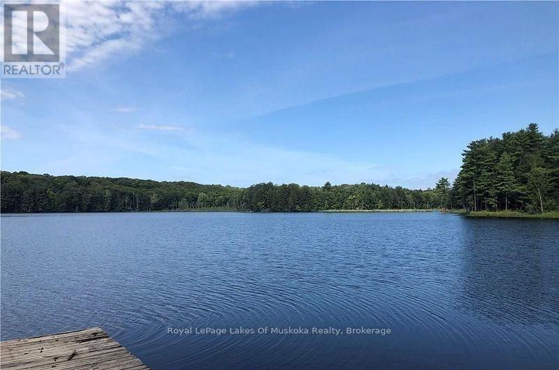 4019 MUSKOKA 169 ROAD, Muskoka Lakes (Medora), Ontario, P0C1A0 — Photo 39