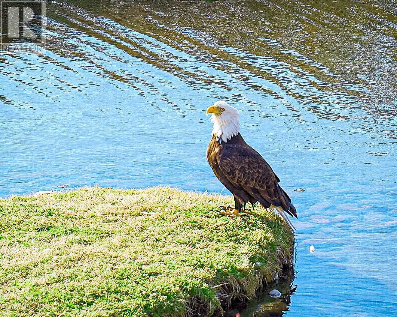 9 3088 FRANCIS ROAD, Richmond