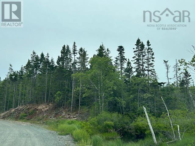 Property 4 of 5 of Salmon River Road