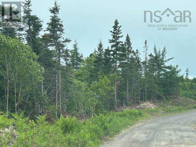 Property 2 of 5 of Salmon River Road