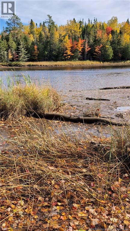 LOT Auburnville Road