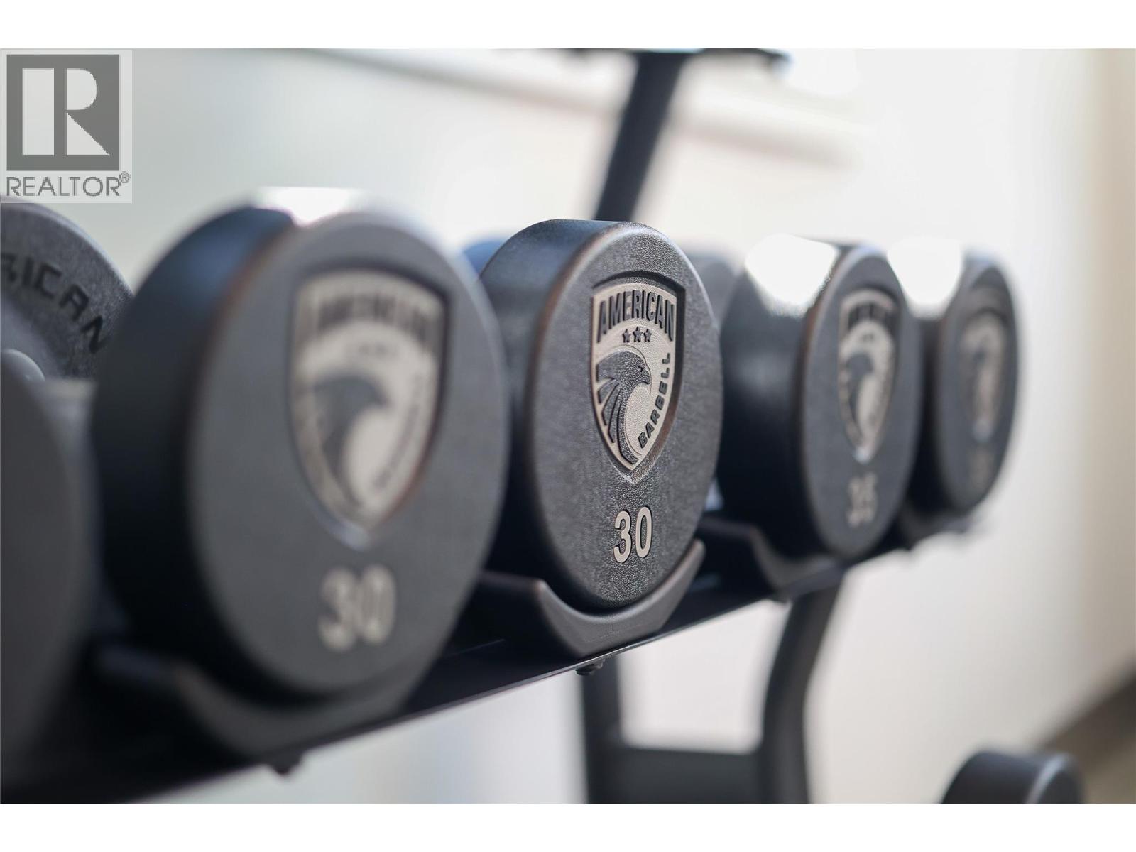 4280 Red Mountain Road Unit# 213, Rossland