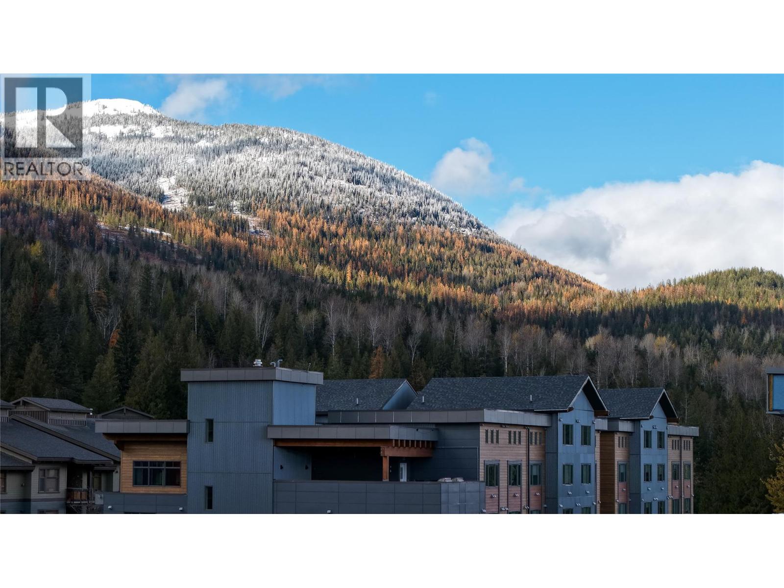 4280 Red Mountain Road Unit# 213, Rossland