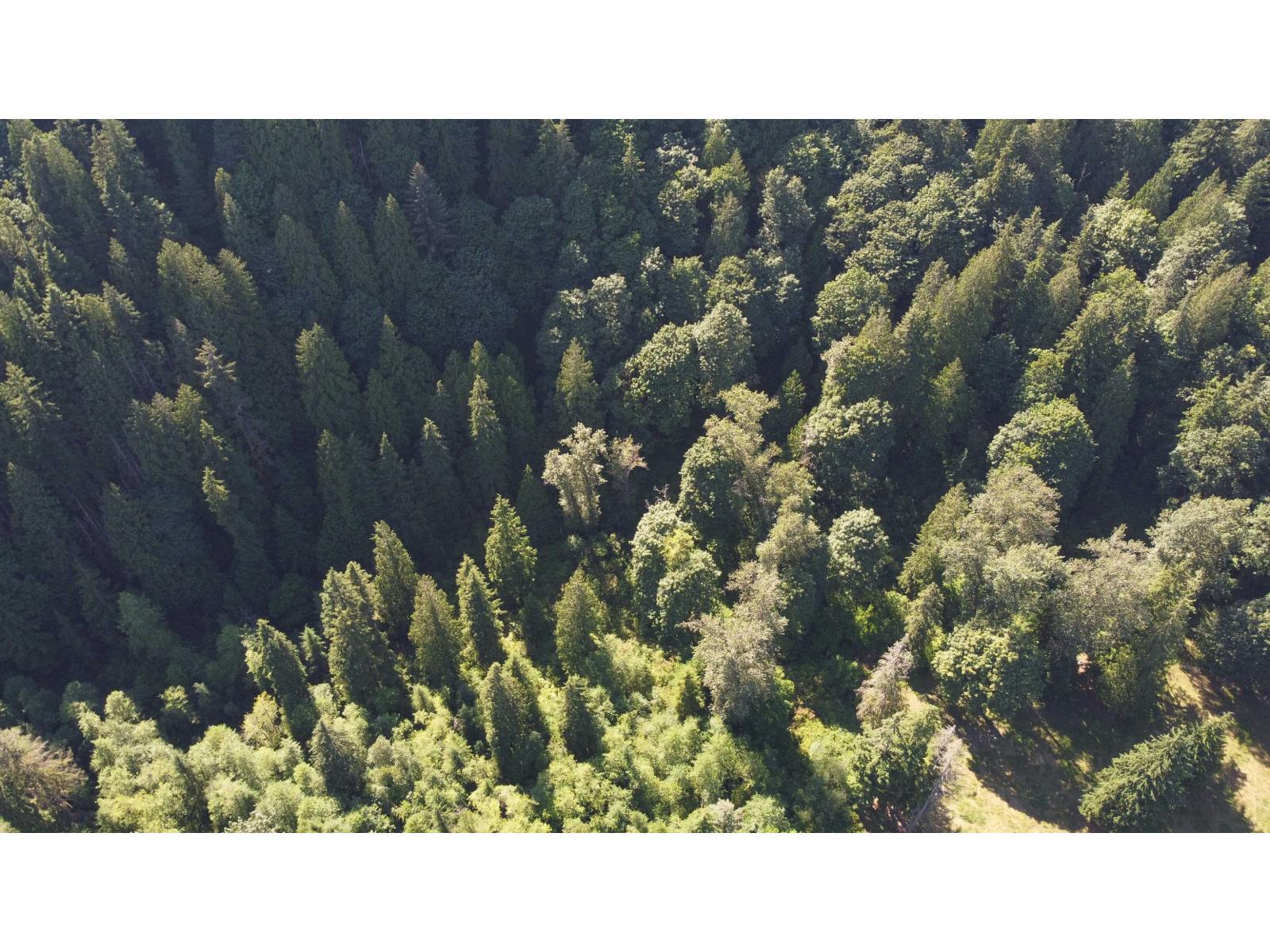 12999 STAVE LAKE ROAD, Mission