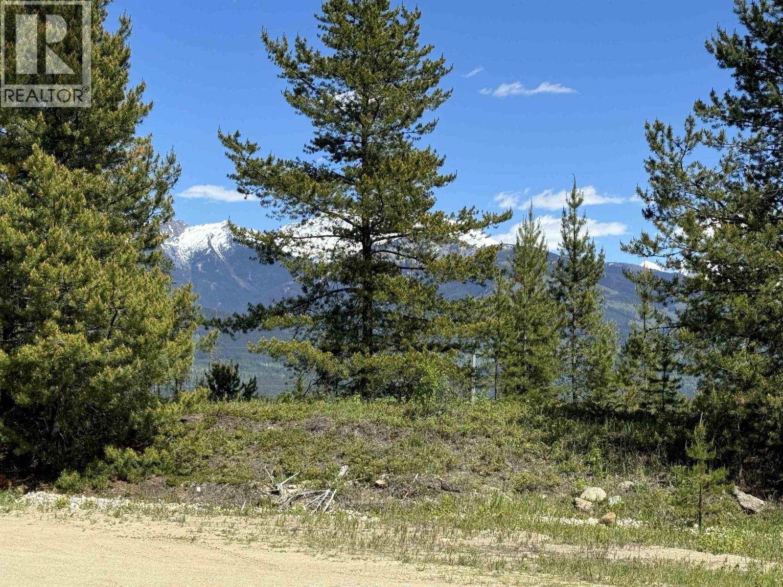 LOT 4 PITNEY ROAD, Valemount