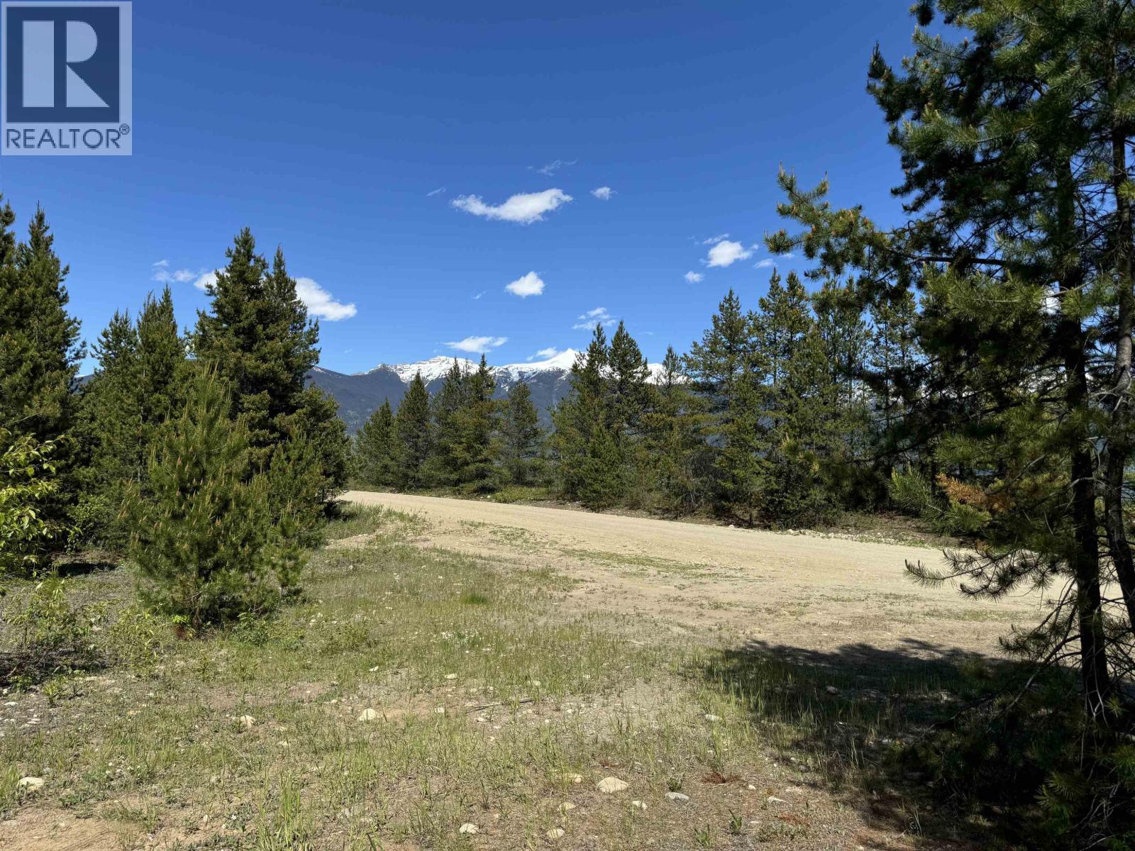 LOT 4 PITNEY ROAD, Valemount