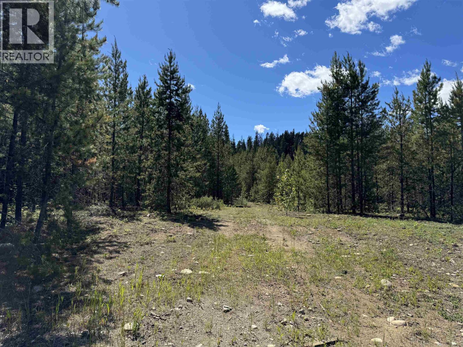 LOT 4 PITNEY ROAD, Valemount
