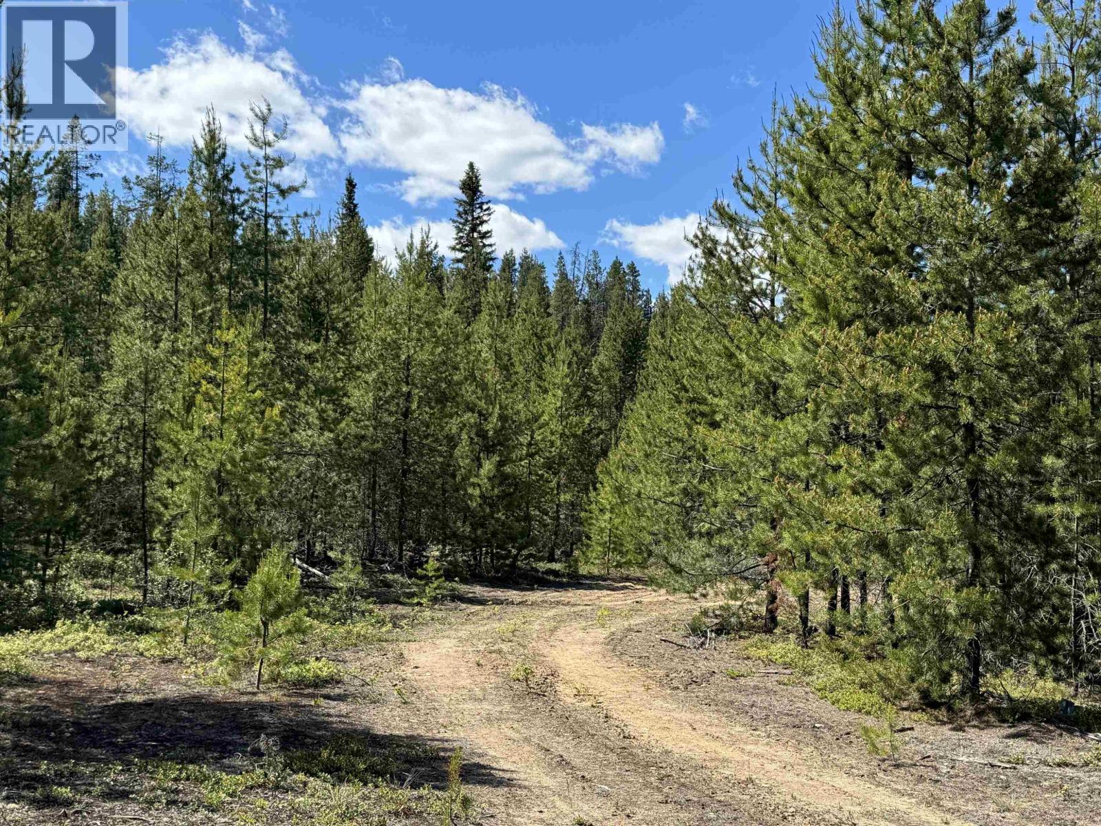 LOT 4 PITNEY ROAD, Valemount
