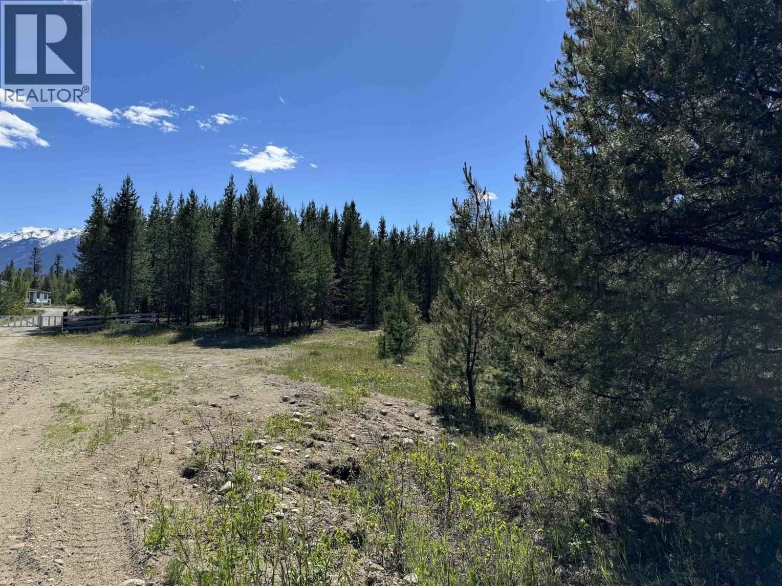 LOT 4 PITNEY ROAD, Valemount