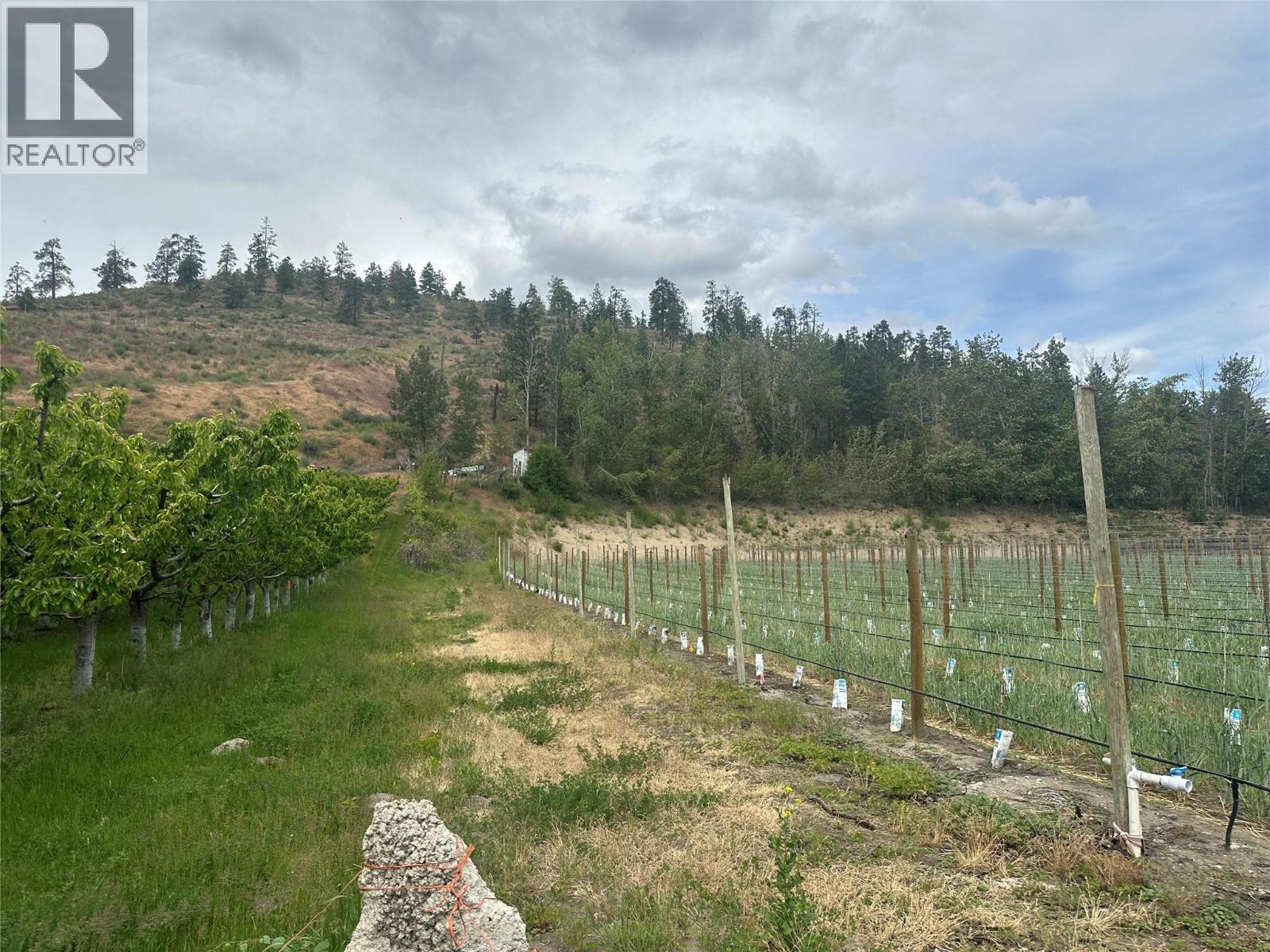  298 Test Orchard Road, Oliver