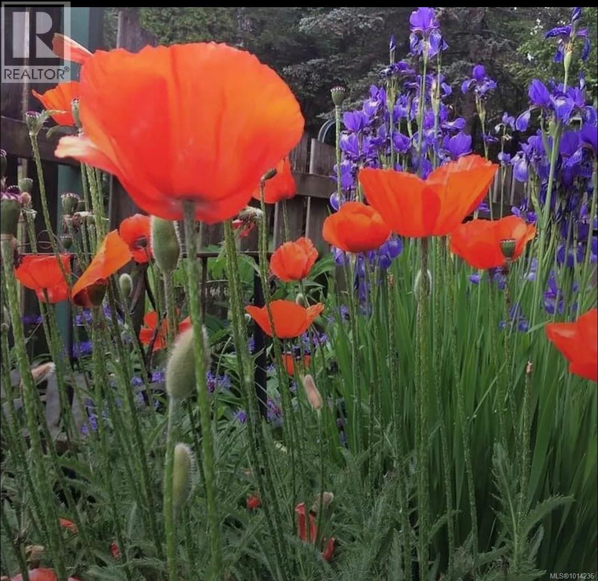 10695 Chemainus Rd, Saltair