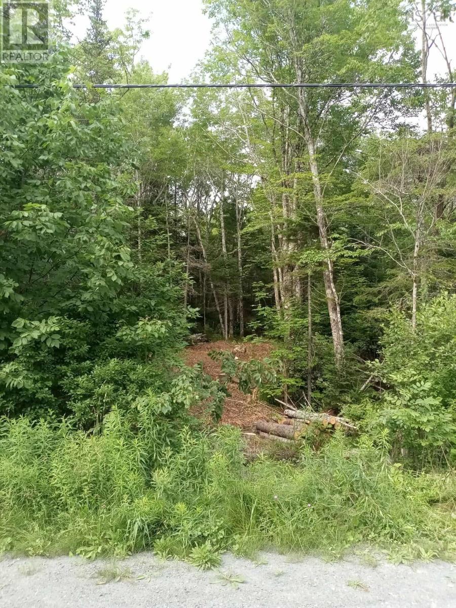 Property 4 of 5 of McMullin Road