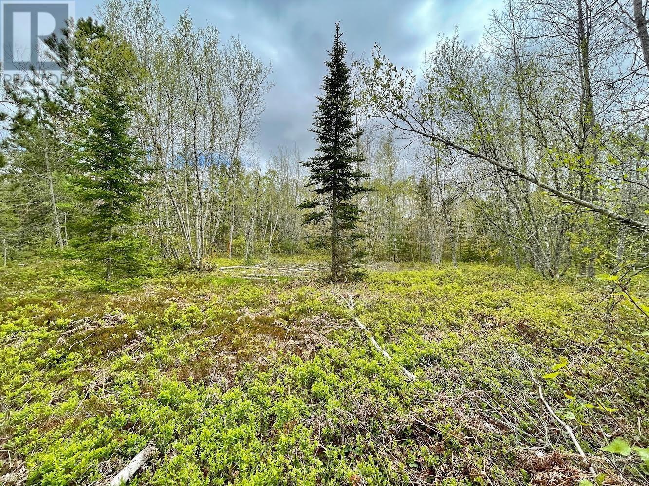 Property 4 of 9 of Lot Highway 201