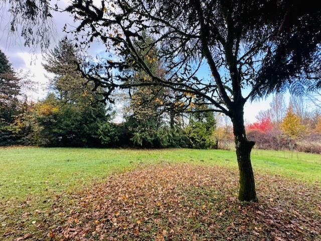 18351 74 AVENUE, Surrey