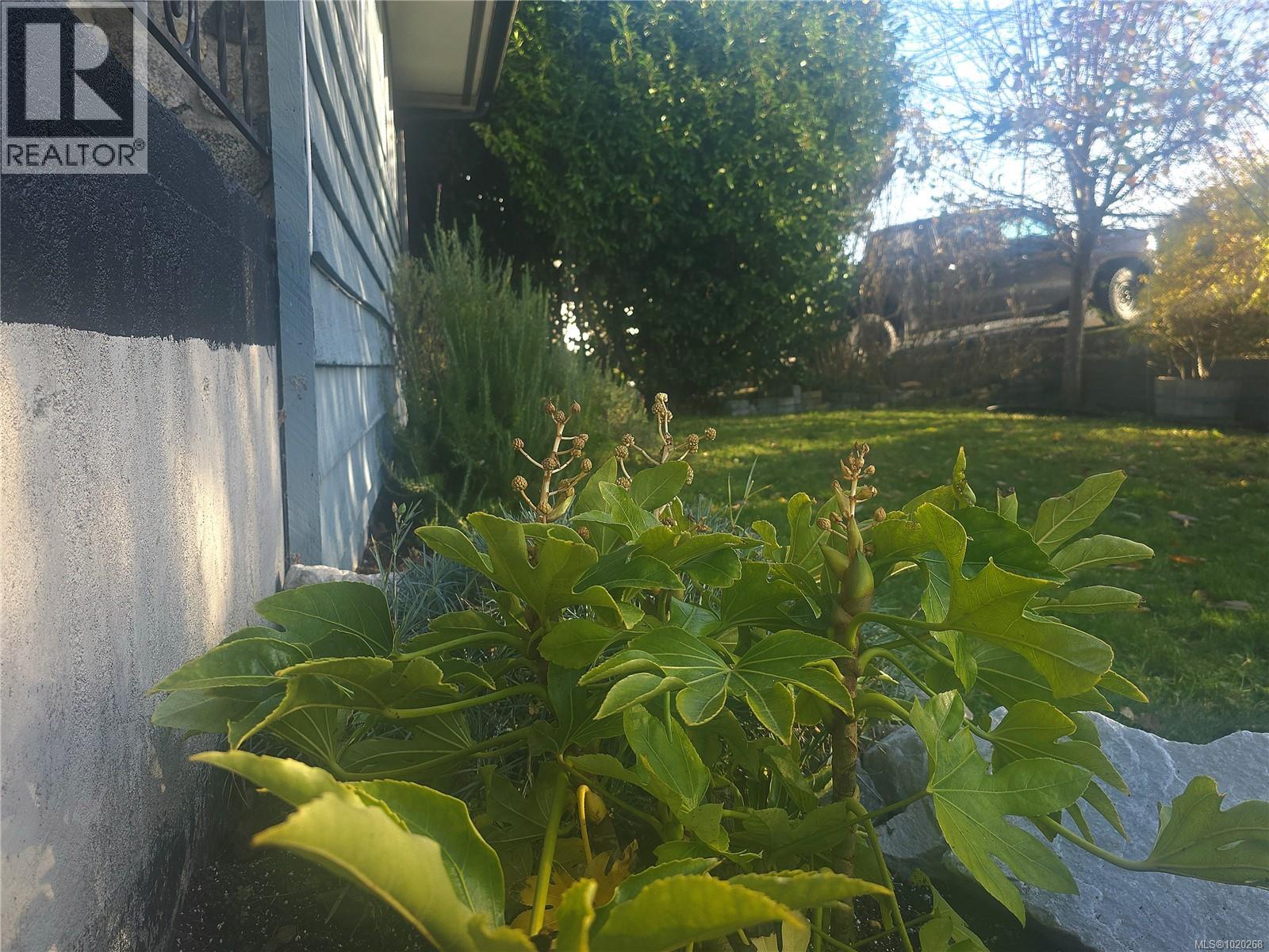 1776 Broughton Blvd, Port McNeill