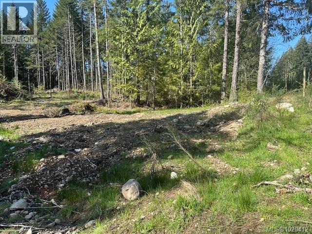 Lot 4 Appaloosa Way, Duncan